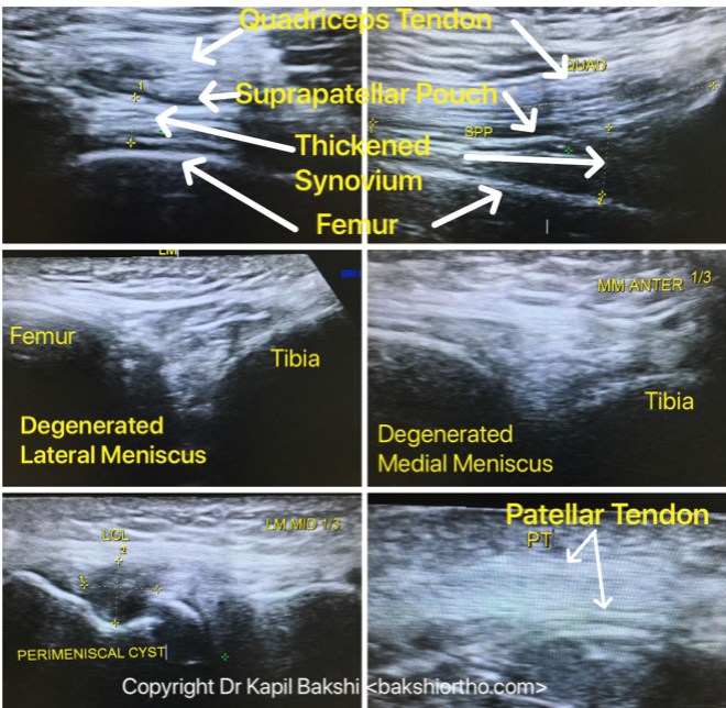 F4E3C595-8121-40FC-8DDD-02FD6597F3ED